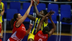Fenerbahçe Alagöz evinde galip 