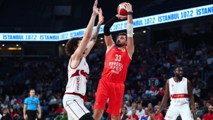 Efes'e Aslan darbesi