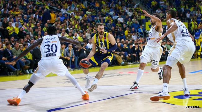 Kral Fenerbahçe Beko