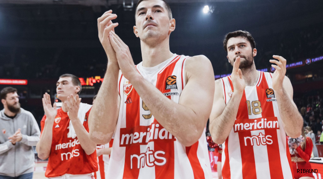 Bahçeşehir Koleji'nden pota altına tecrübeli takviye: Luka Mitrović