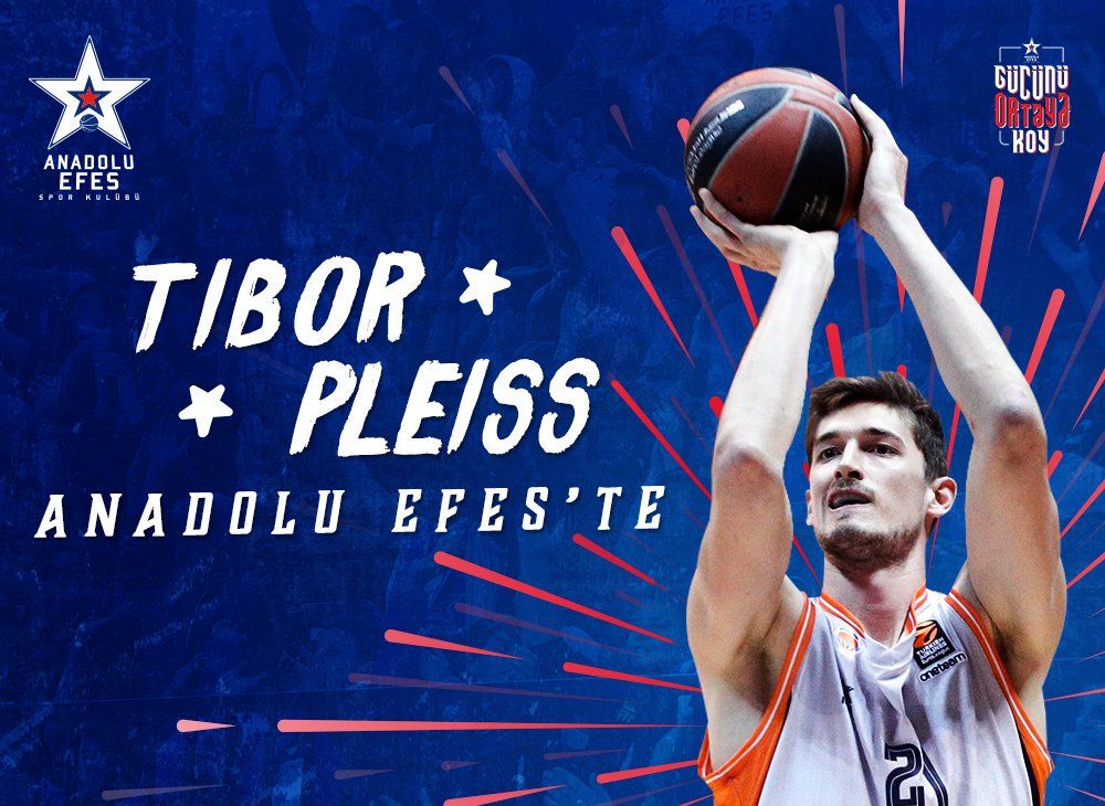 Tibor Pleiss, Anadolu Efes'te